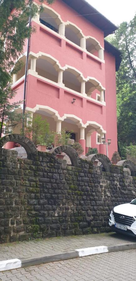 Casa Rosa Villa Băile Olăneşti Exteriör bild