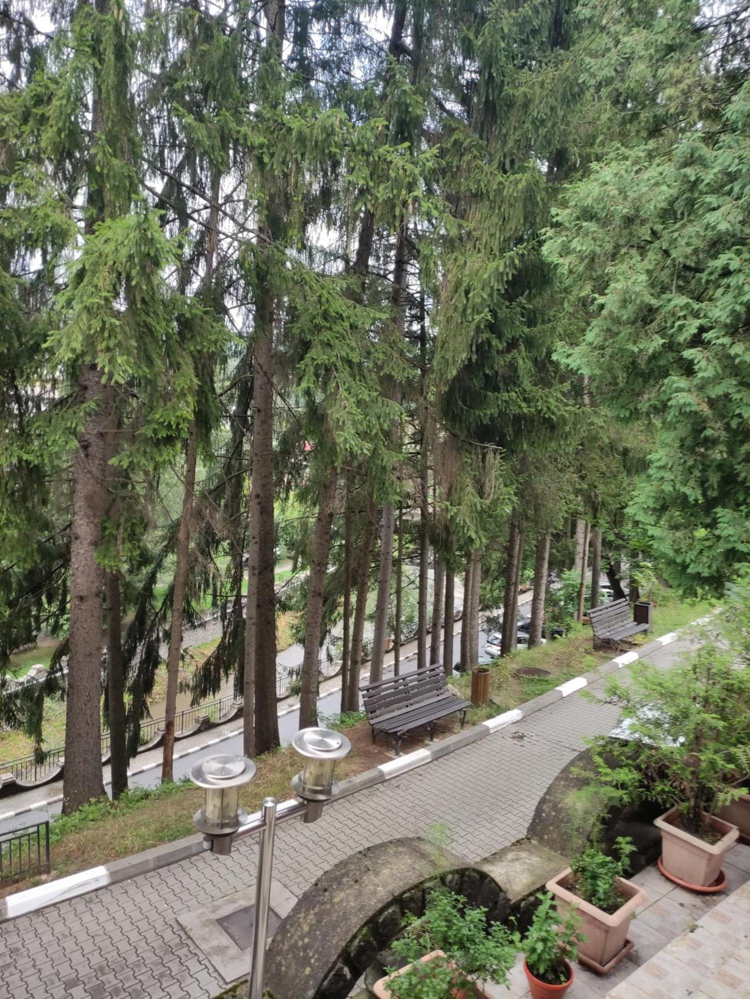 Casa Rosa Villa Băile Olăneşti Exteriör bild