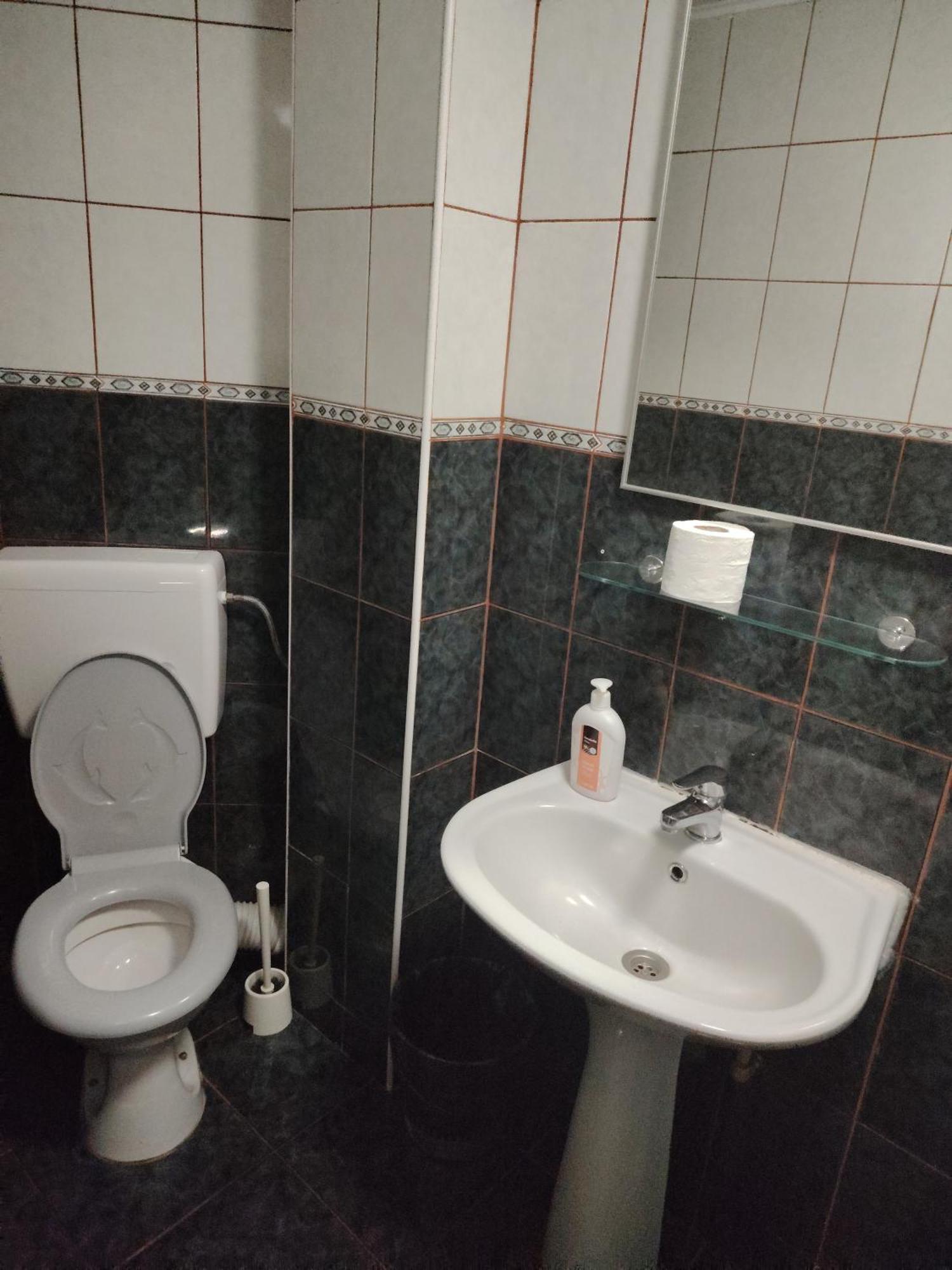 Casa Rosa Villa Băile Olăneşti Rum bild